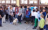állatok_világnapja003.jpg