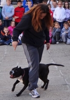 állatok_világnapja018.jpg